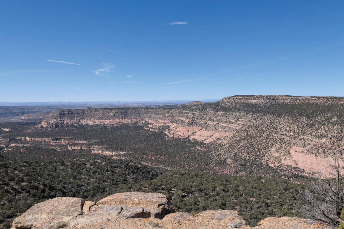 View of Sand Canyon from the above mesa