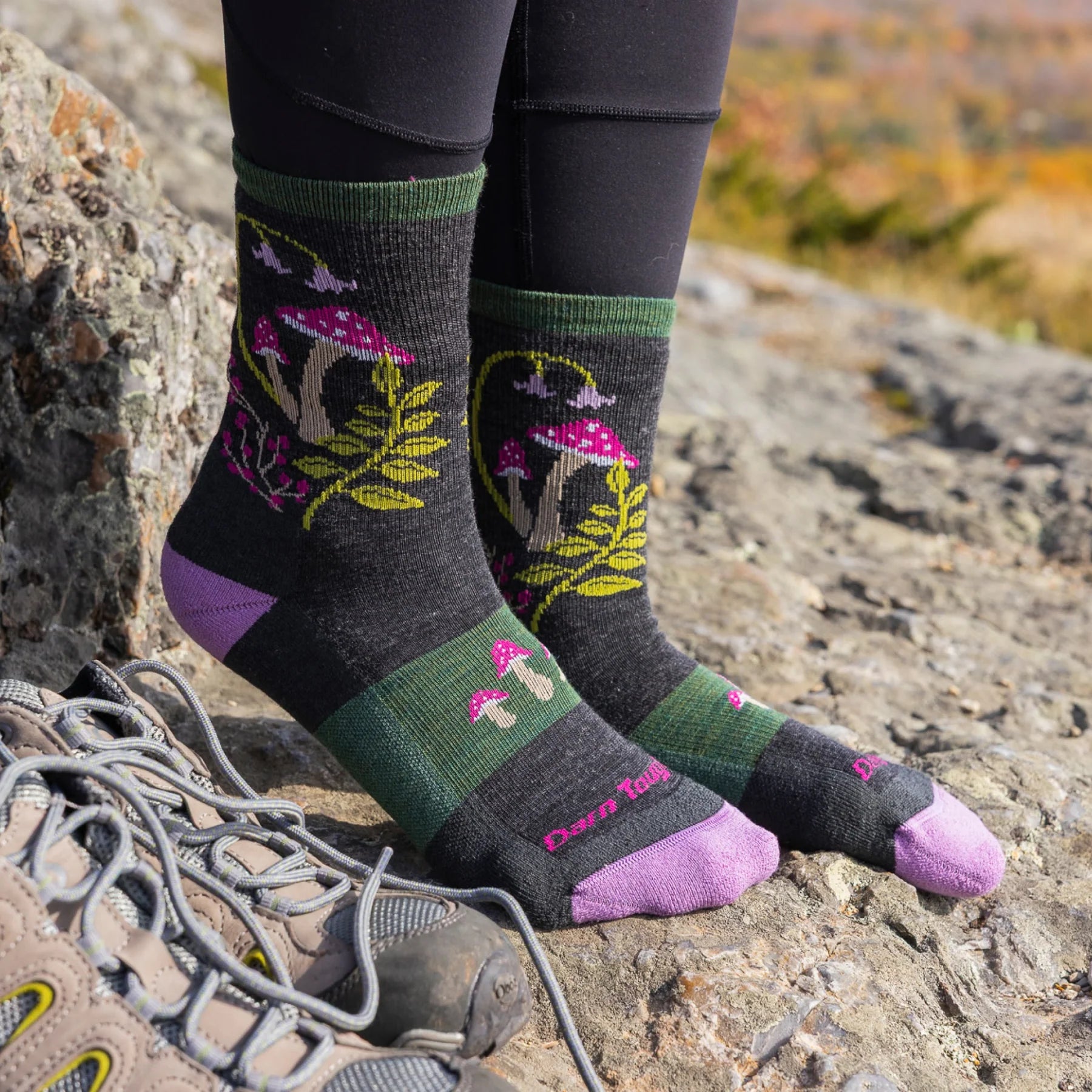 Darn Tough - Hiker Mushrooms Micro Crew Lightweight Cushion Women's