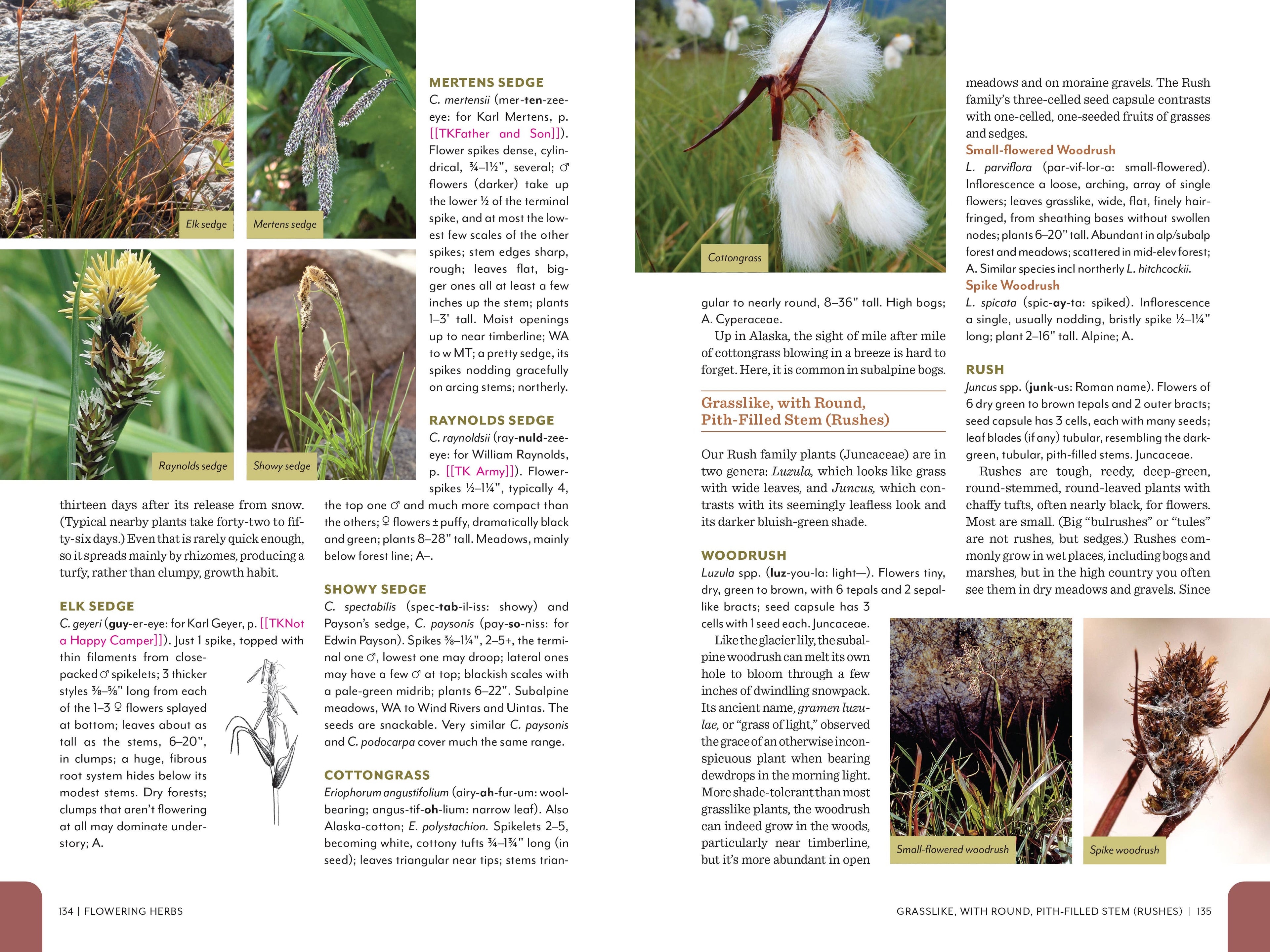 Rocky Mountain Field Guide