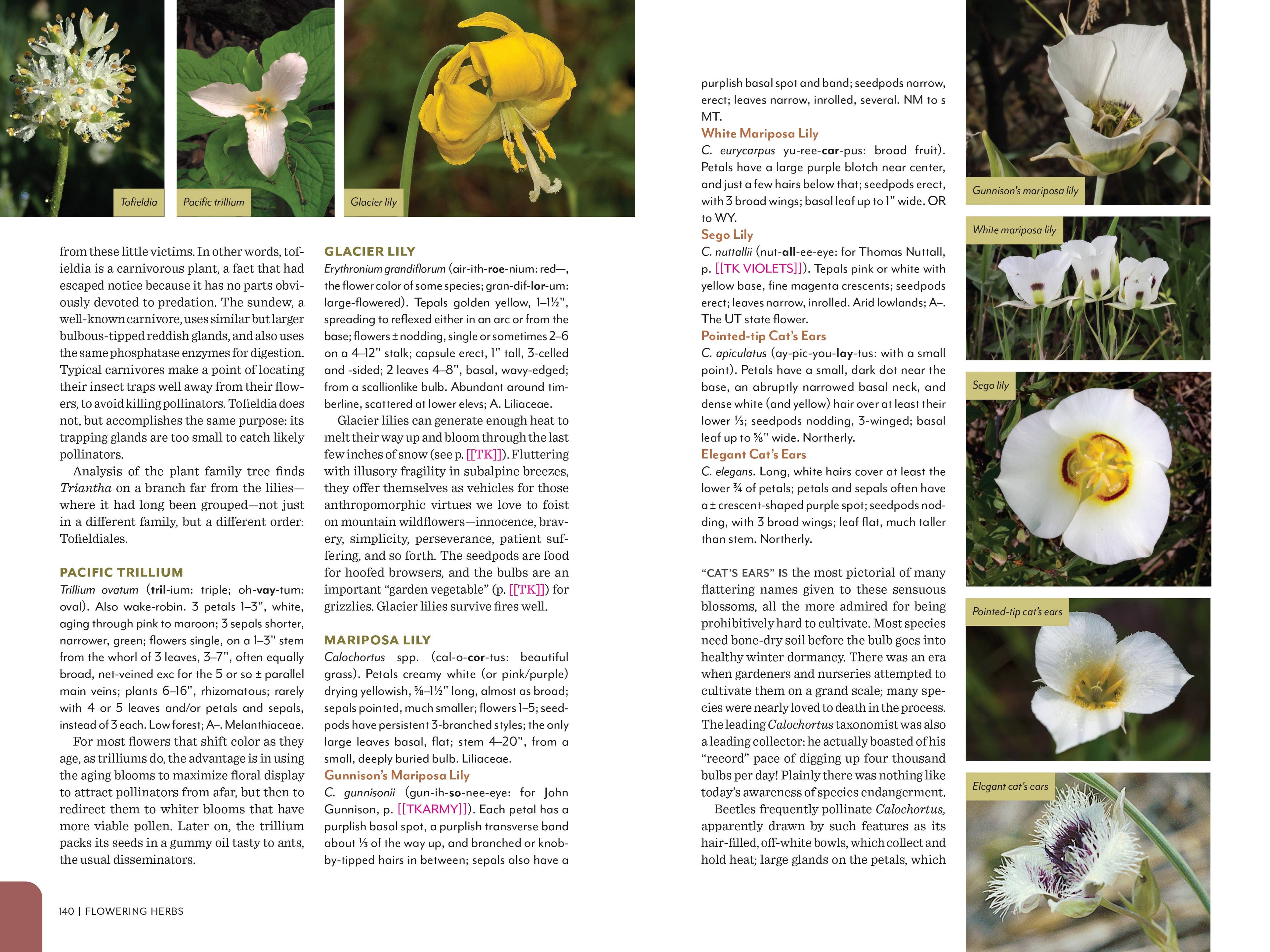 Rocky Mountain Field Guide