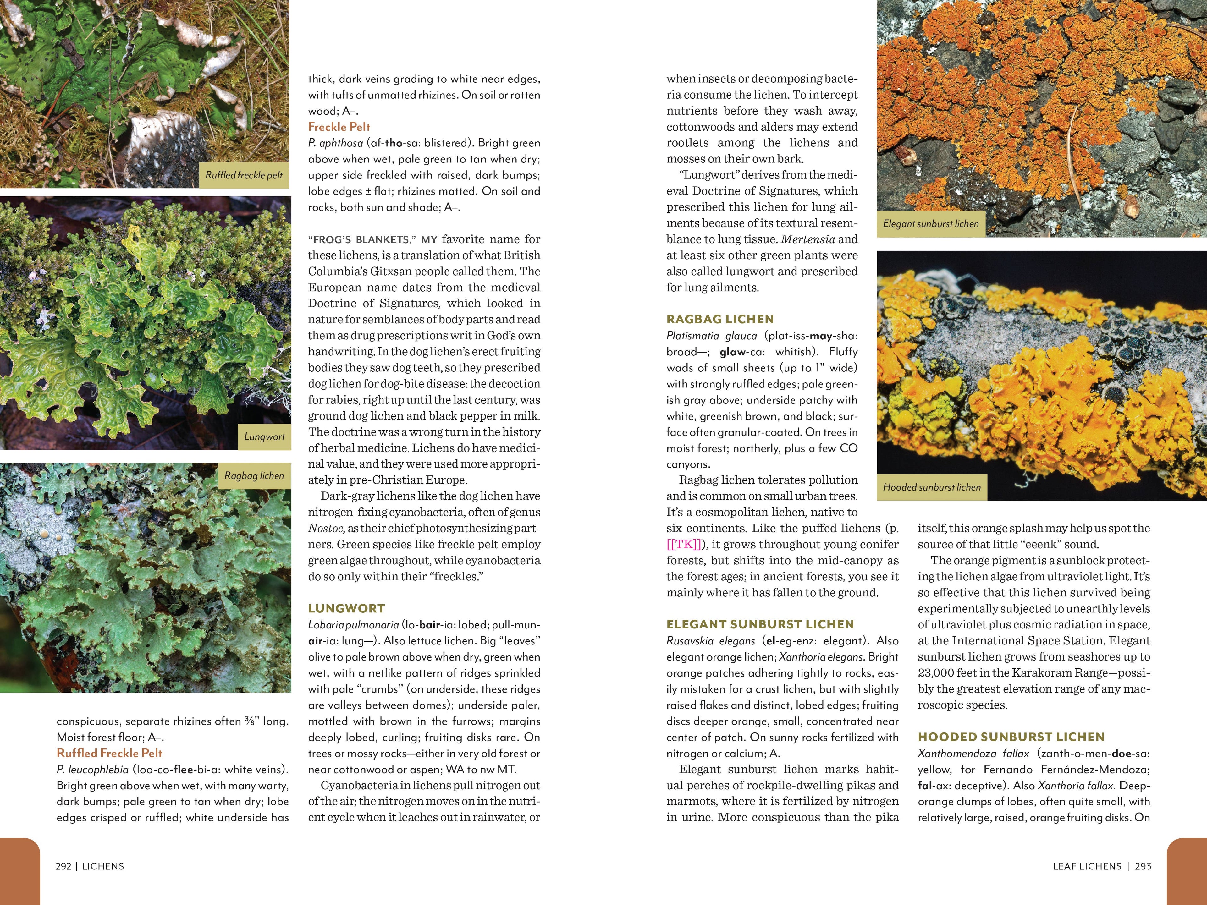 Rocky Mountain Field Guide