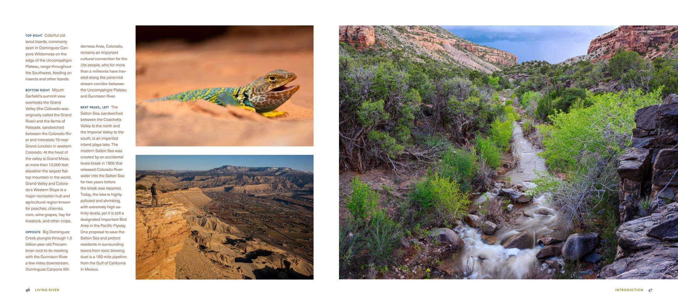 Living River: The Promise of the Mighty Colorado