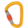 Iris HMS Screw Gate