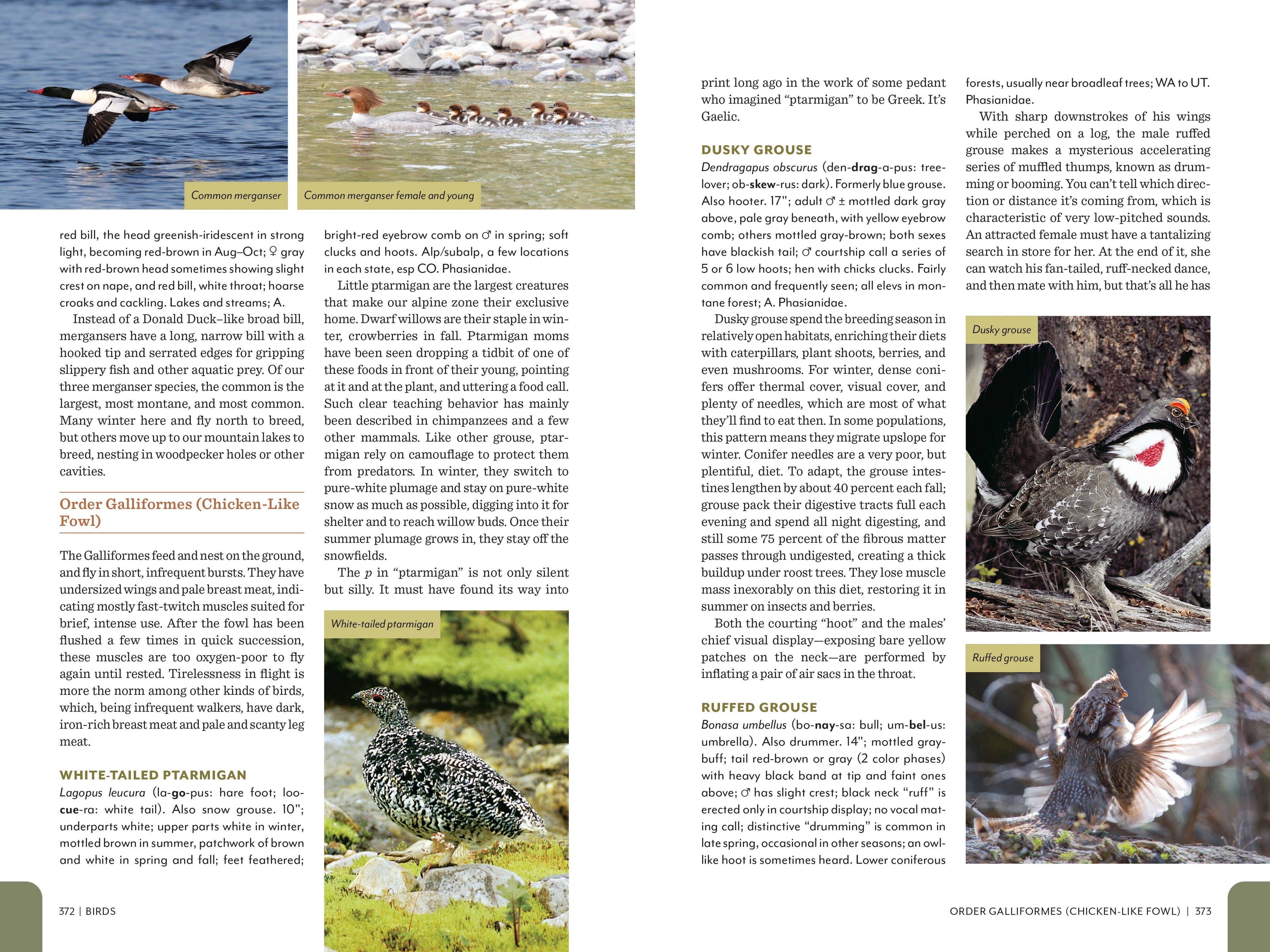 Rocky Mountain Field Guide