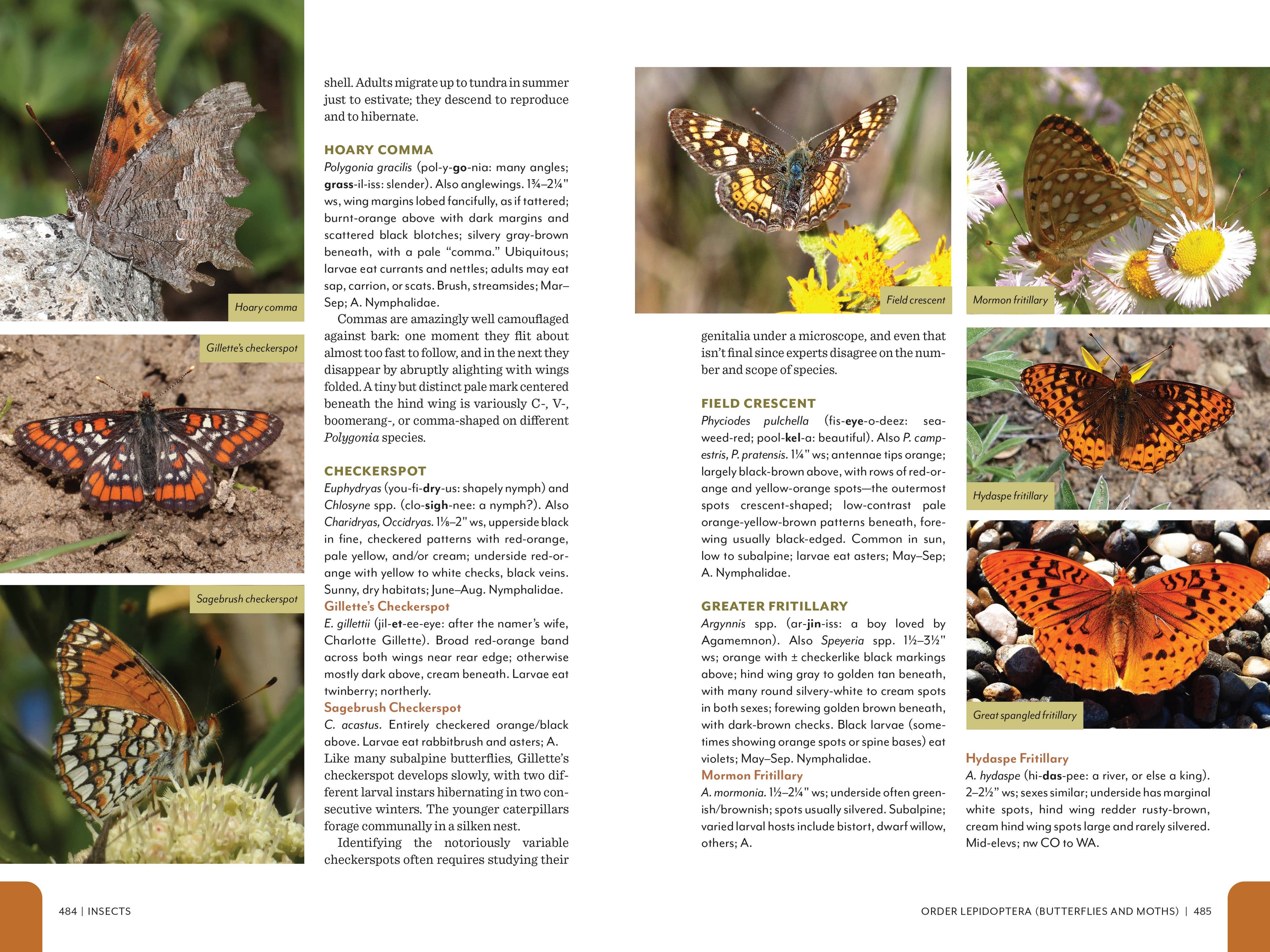 Rocky Mountain Field Guide
