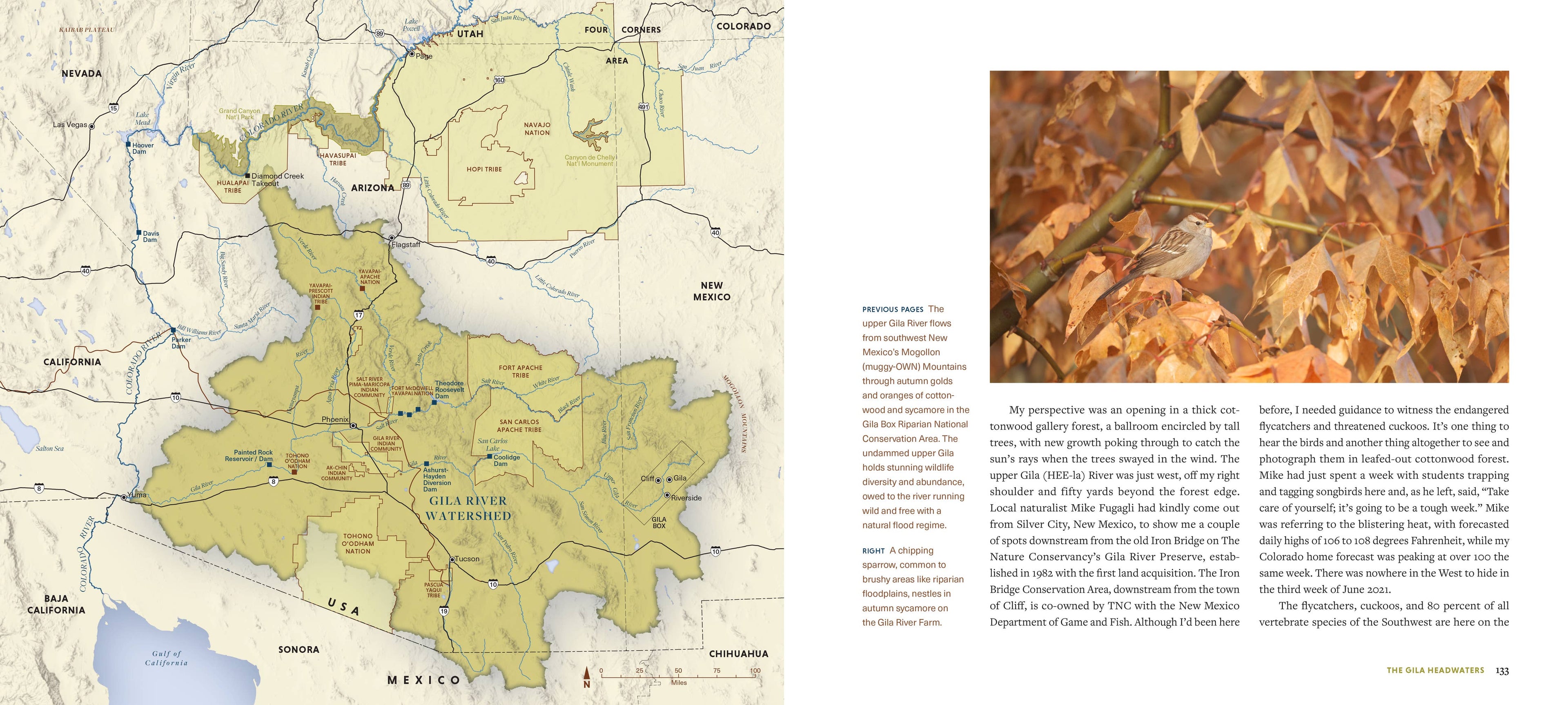 Living River: The Promise of the Mighty Colorado