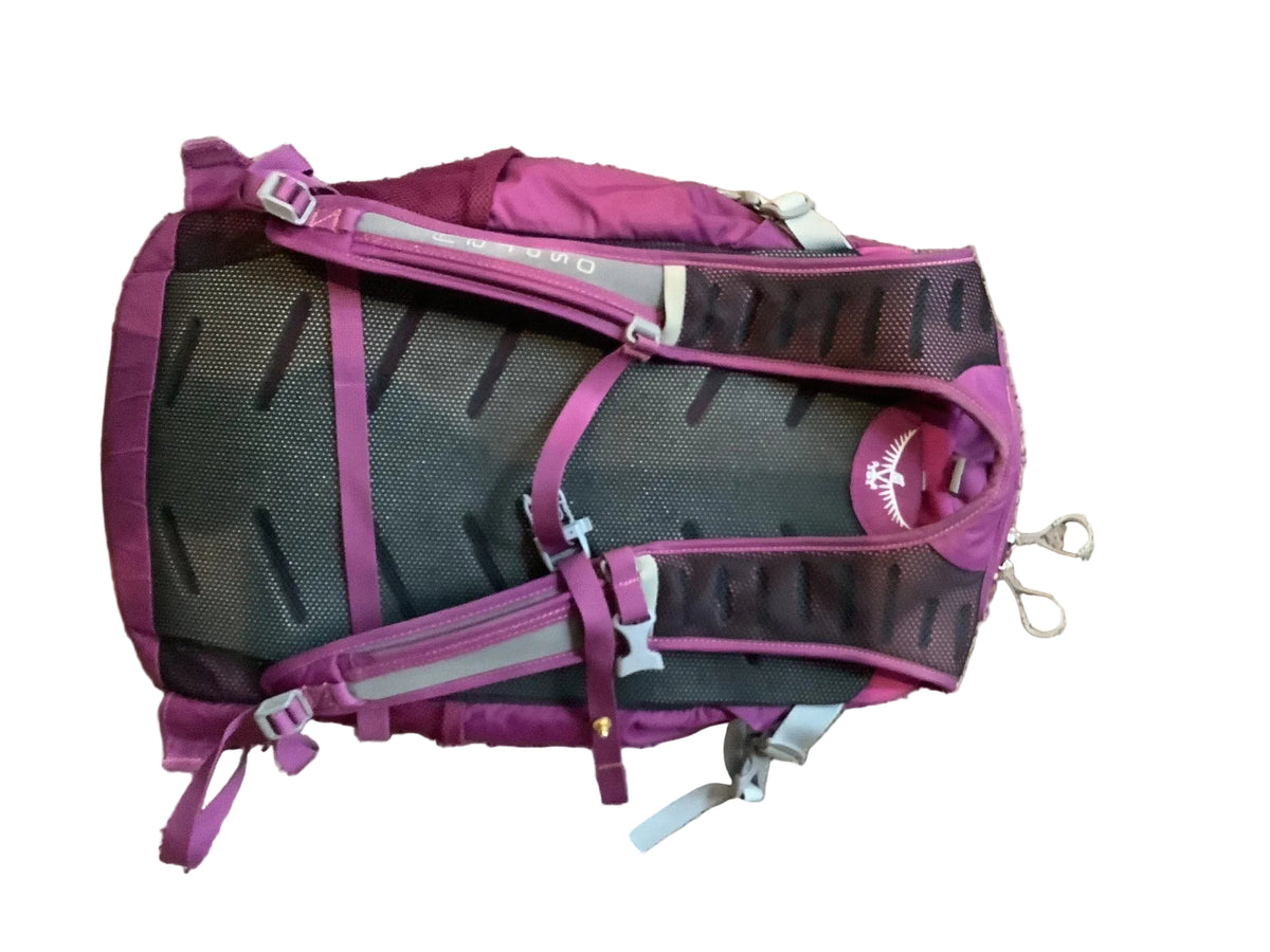 Osprey Daylite Plus purple backpack back