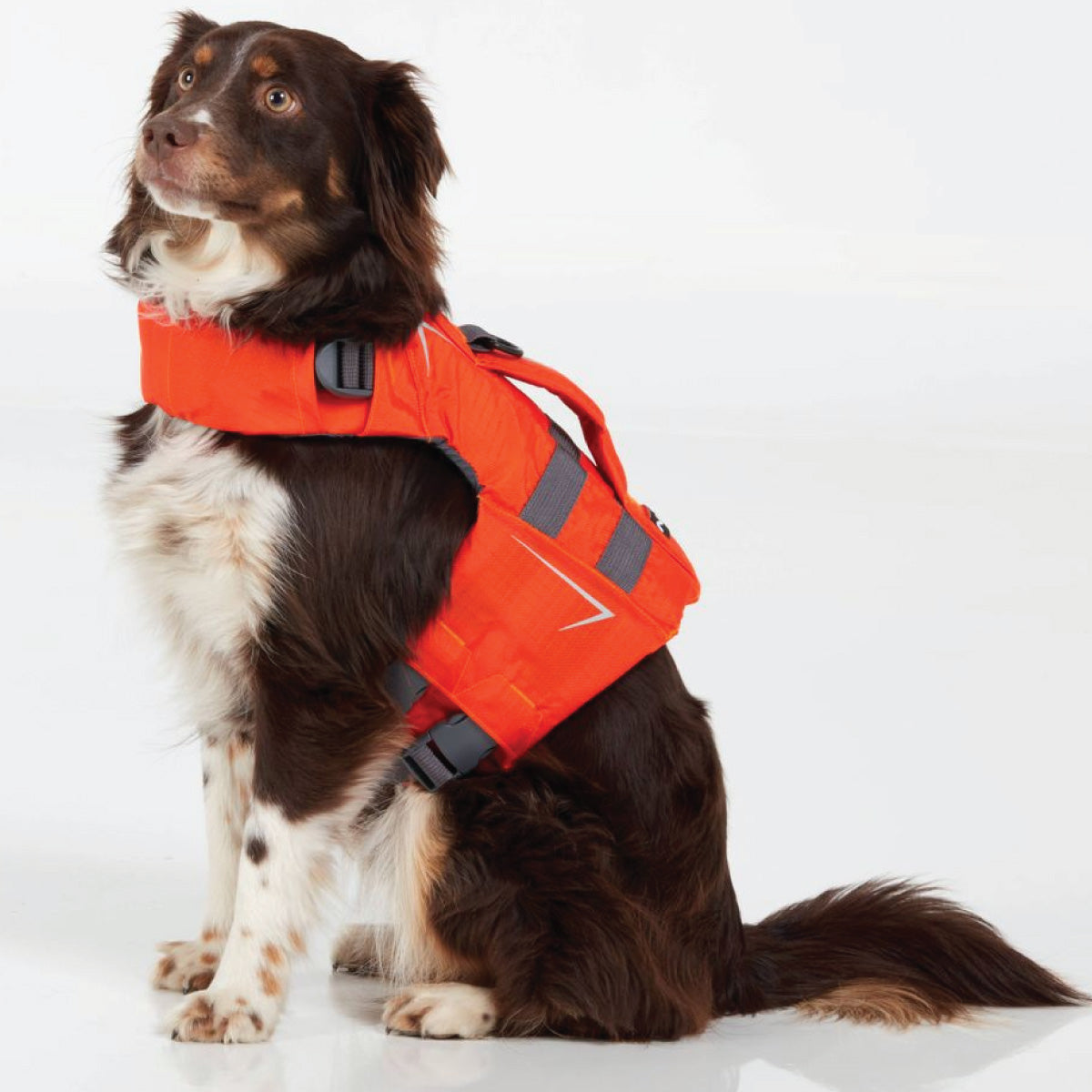 NRS CFD Dog Life Jacket