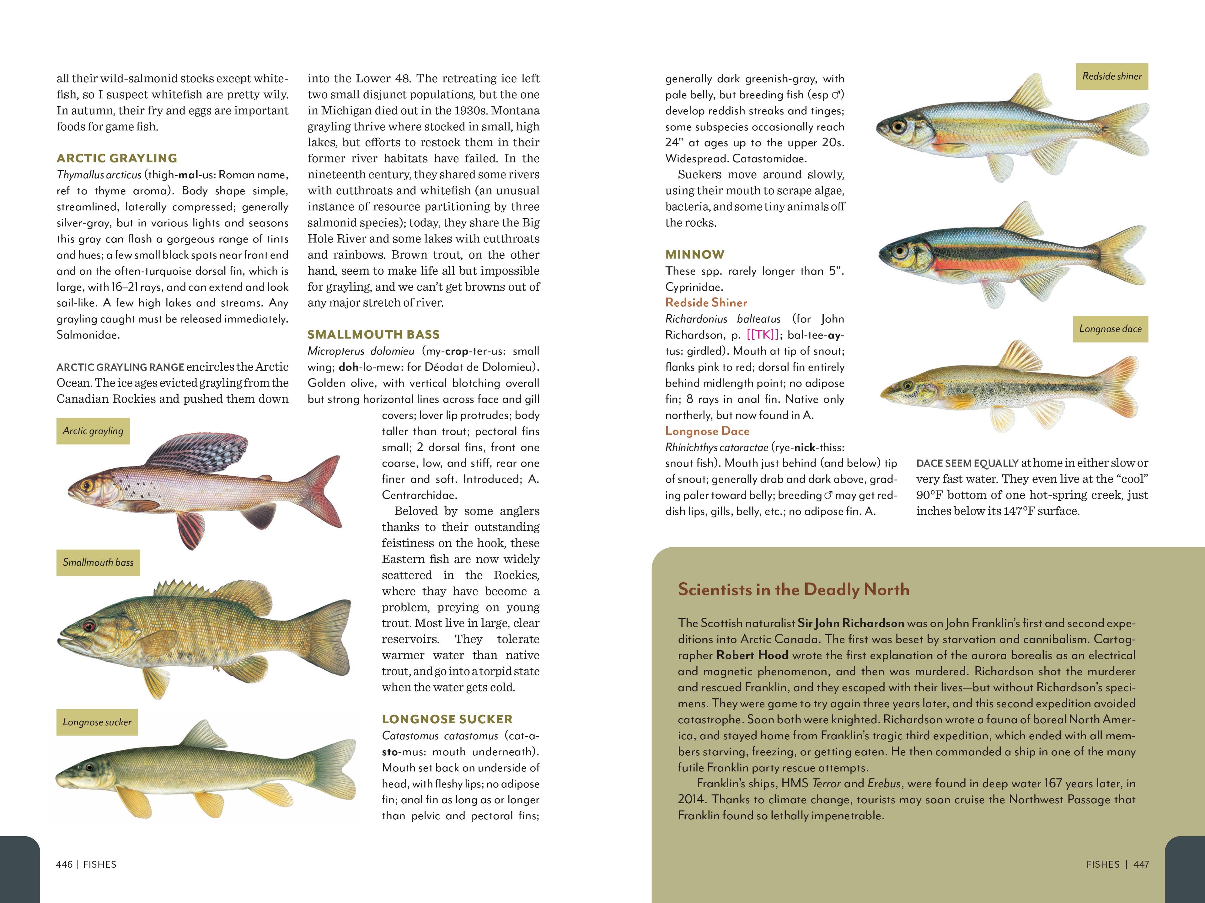 Rocky Mountain Field Guide