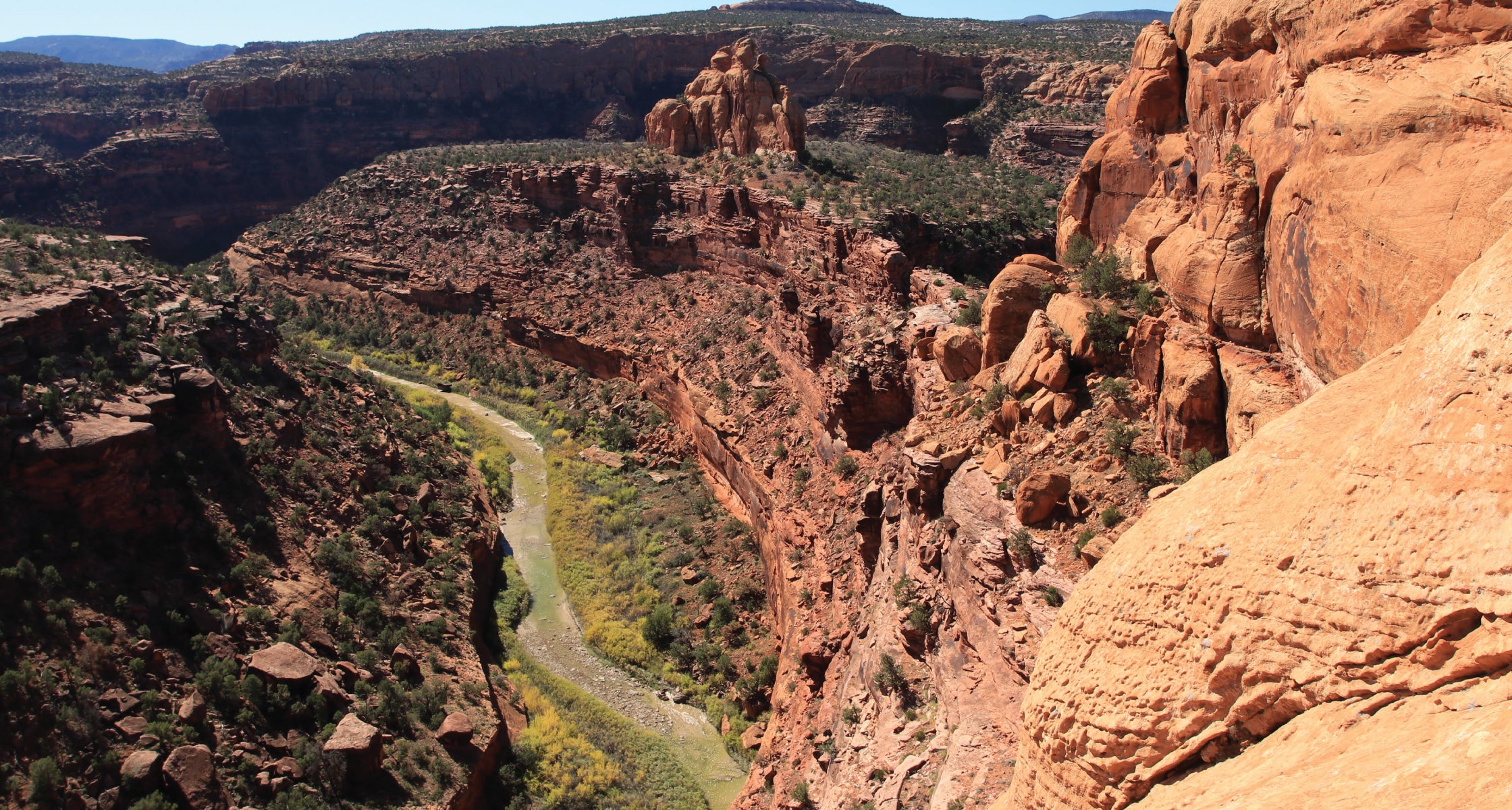 Scenic view of a canyon with red rock formations and a winding river.